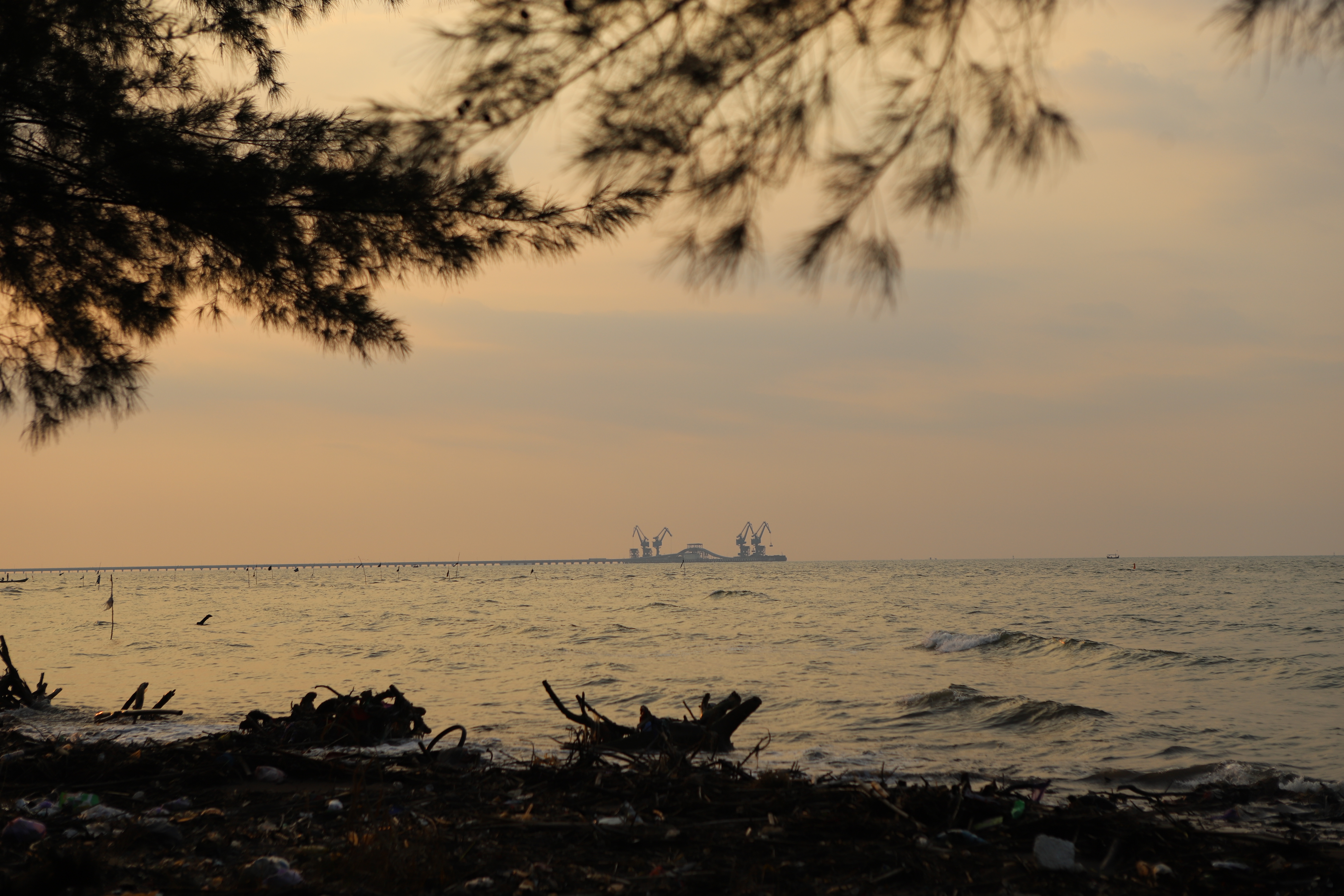 Diagram Radar Pembangunan